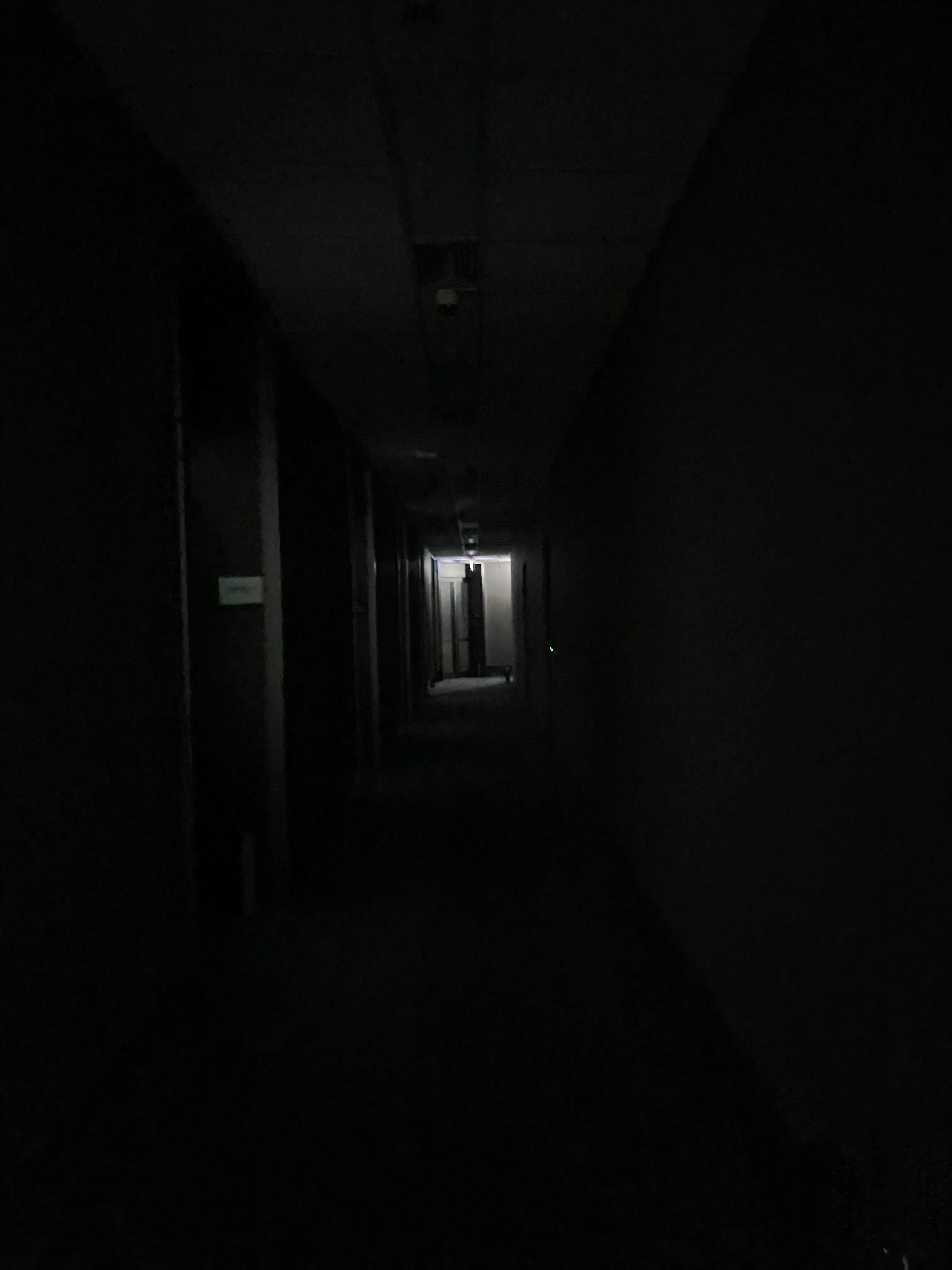 한밤중 건물 잔디를 뜯어 먹는(?) 사람이 나타나 피신